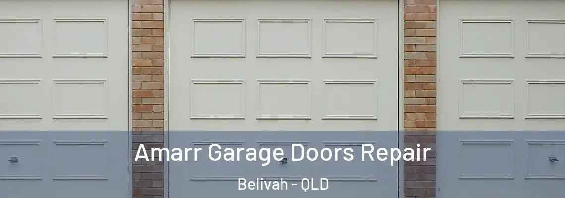 Amarr Garage Doors Repair Belivah - QLD
