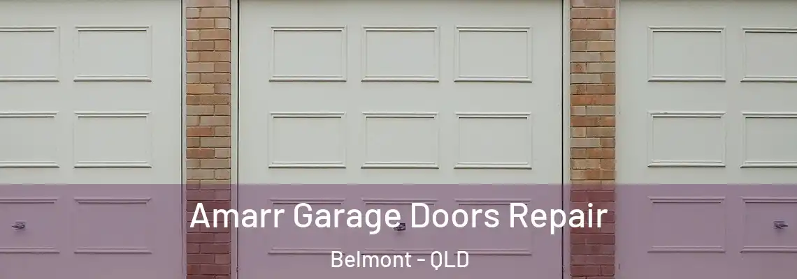 Amarr Garage Doors Repair Belmont - QLD
