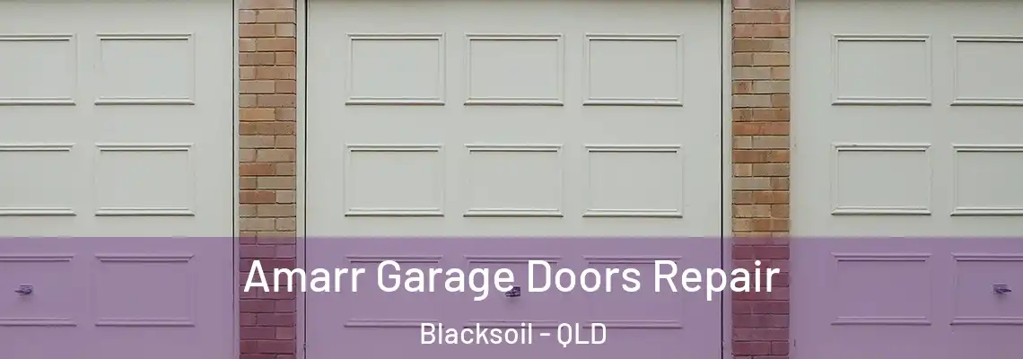 Amarr Garage Doors Repair Blacksoil - QLD