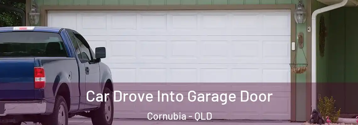  Car Drove Into Garage Door Cornubia - QLD