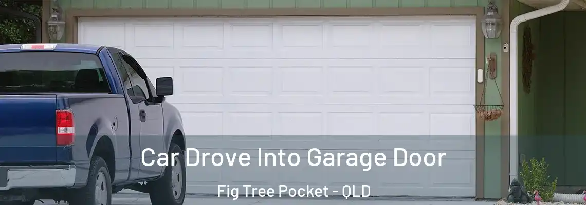  Car Drove Into Garage Door Fig Tree Pocket - QLD