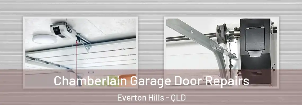 Chamberlain Garage Door Repairs Everton Hills - QLD