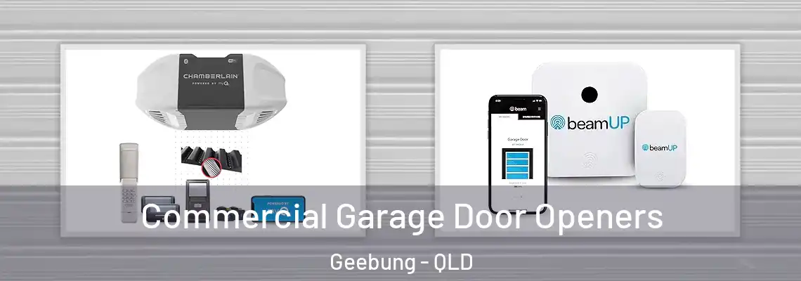  Commercial Garage Door Openers Geebung - QLD