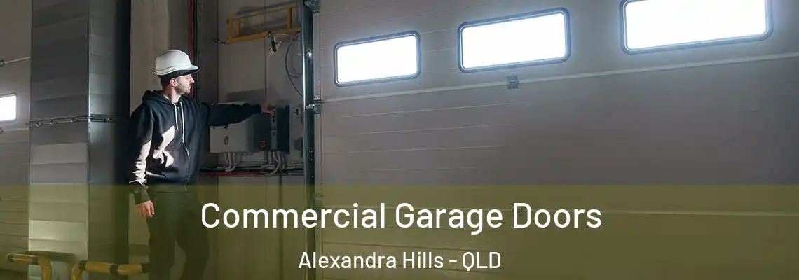  Commercial Garage Doors Alexandra Hills - QLD