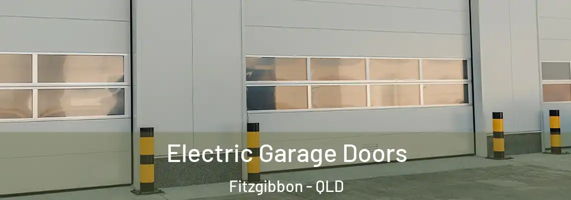 Electric Garage Doors Fitzgibbon - QLD