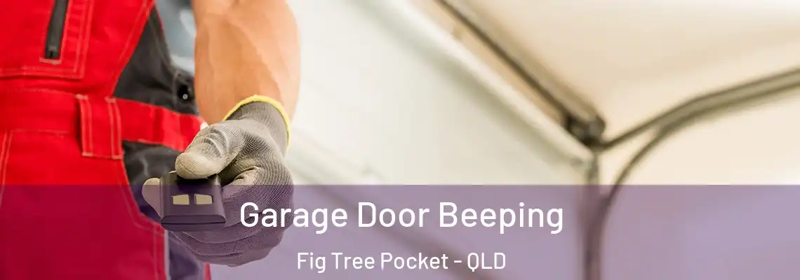  Garage Door Beeping Fig Tree Pocket - QLD
