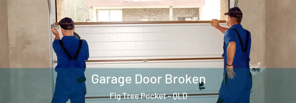 Garage Door Broken Fig Tree Pocket - QLD