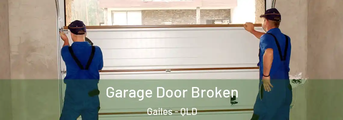  Garage Door Broken Gailes - QLD
