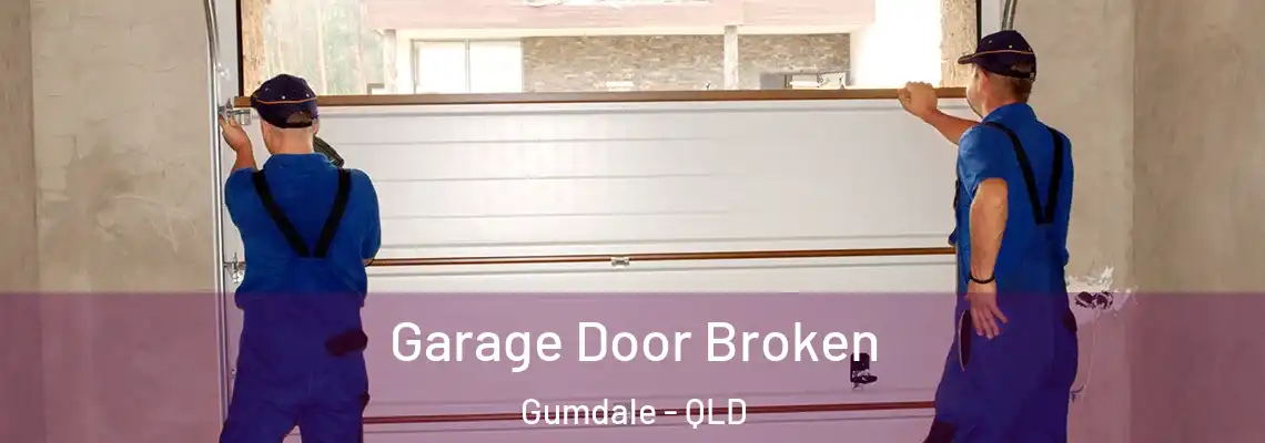  Garage Door Broken Gumdale - QLD