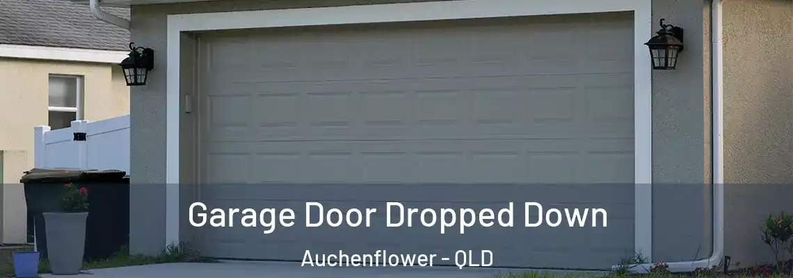  Garage Door Dropped Down Auchenflower - QLD