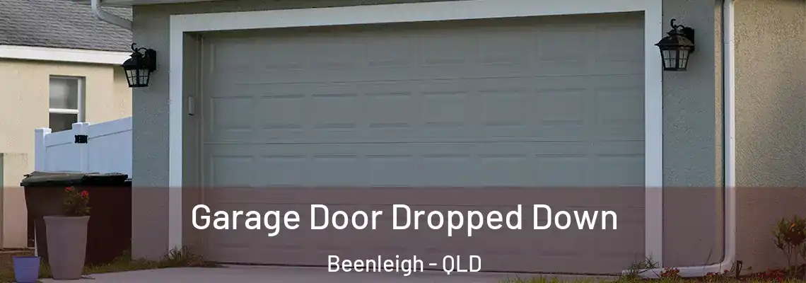  Garage Door Dropped Down Beenleigh - QLD