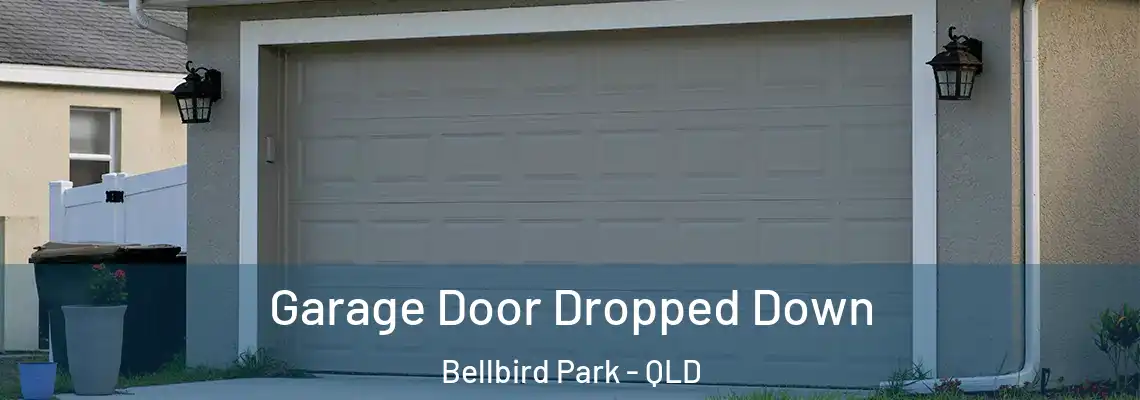  Garage Door Dropped Down Bellbird Park - QLD