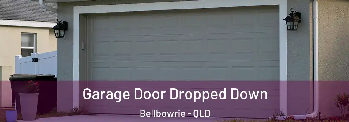  Garage Door Dropped Down Bellbowrie - QLD