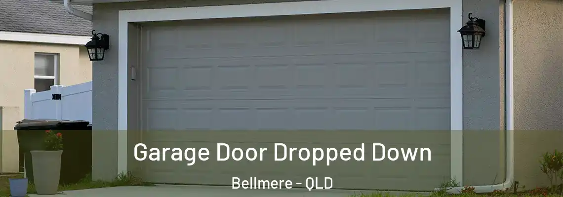  Garage Door Dropped Down Bellmere - QLD