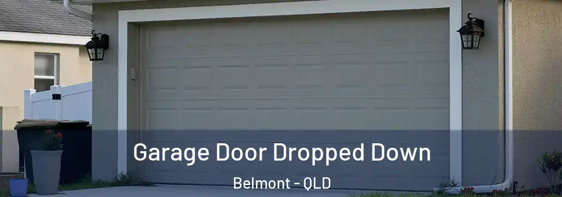 Garage Door Dropped Down Belmont - QLD