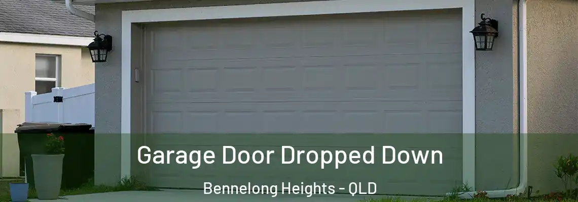  Garage Door Dropped Down Bennelong Heights - QLD