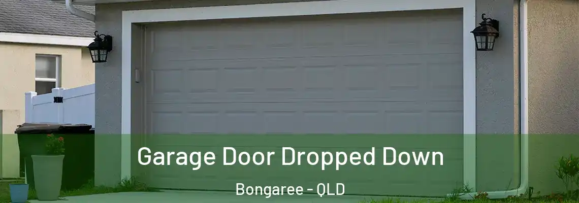 Garage Door Dropped Down Bongaree - QLD