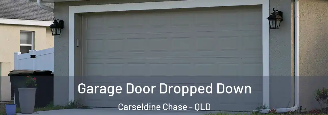 Garage Door Dropped Down Carseldine Chase - QLD