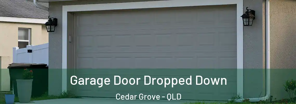  Garage Door Dropped Down Cedar Grove - QLD