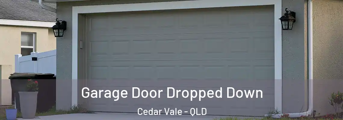  Garage Door Dropped Down Cedar Vale - QLD