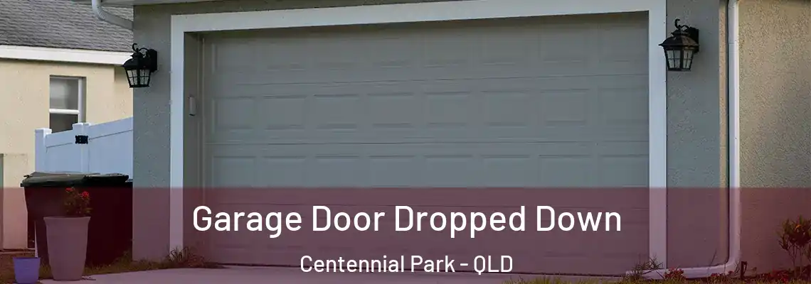  Garage Door Dropped Down Centennial Park - QLD