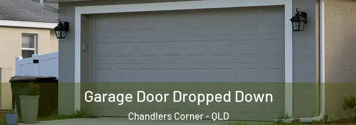 Garage Door Dropped Down Chandlers Corner - QLD