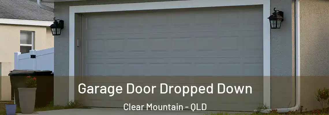 Garage Door Dropped Down Clear Mountain - QLD