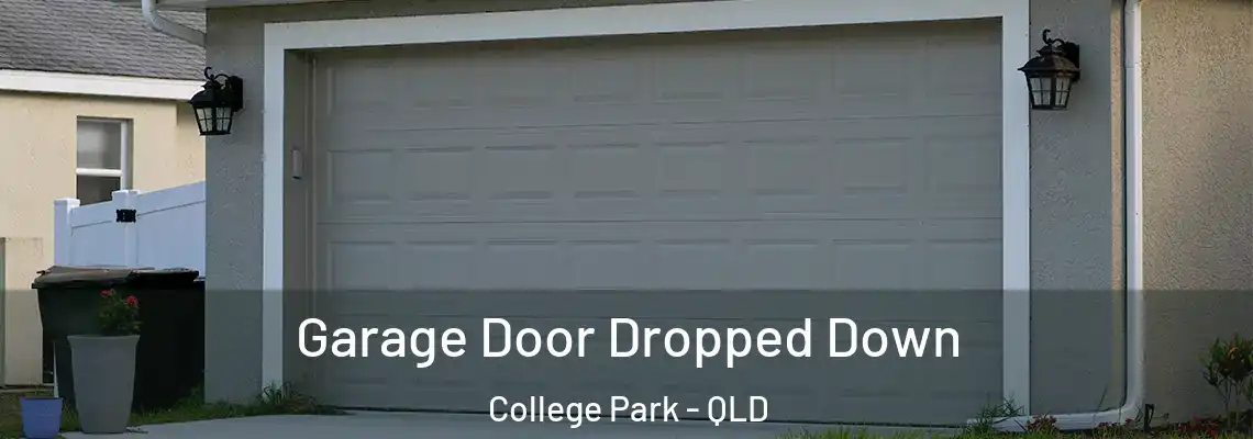  Garage Door Dropped Down College Park - QLD