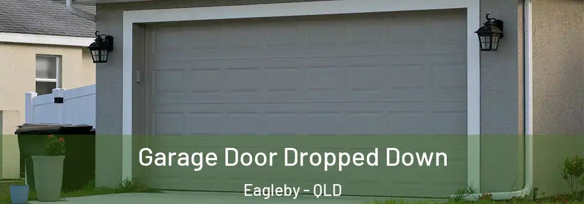 Garage Door Dropped Down Eagleby - QLD