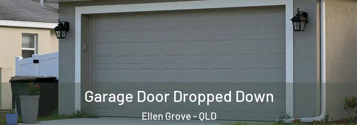  Garage Door Dropped Down Ellen Grove - QLD