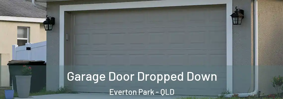Garage Door Dropped Down Everton Park - QLD
