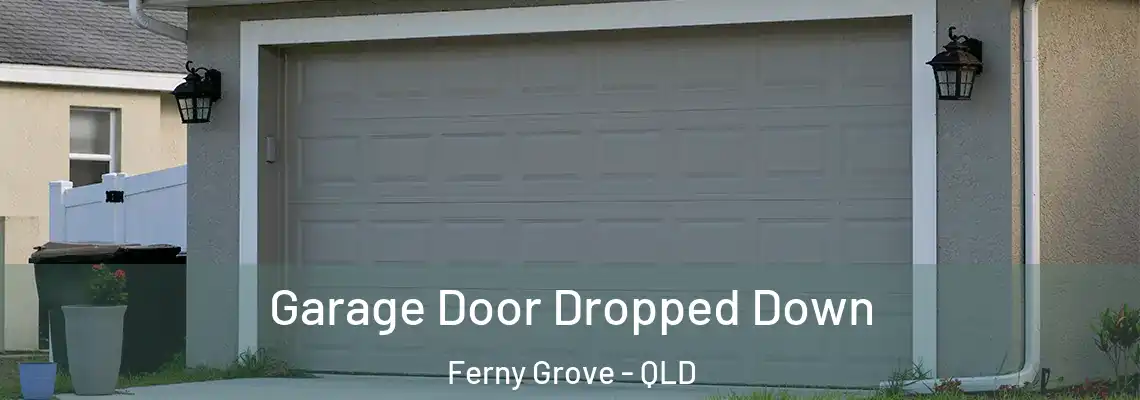  Garage Door Dropped Down Ferny Grove - QLD