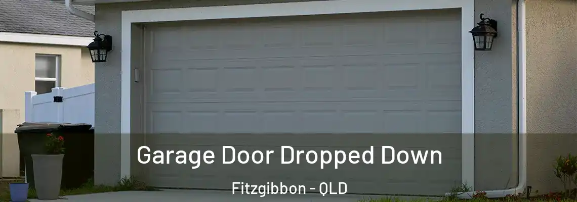 Garage Door Dropped Down Fitzgibbon - QLD