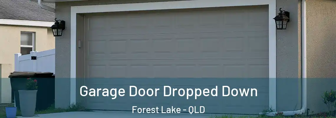  Garage Door Dropped Down Forest Lake - QLD