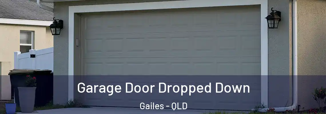 Garage Door Dropped Down Gailes - QLD