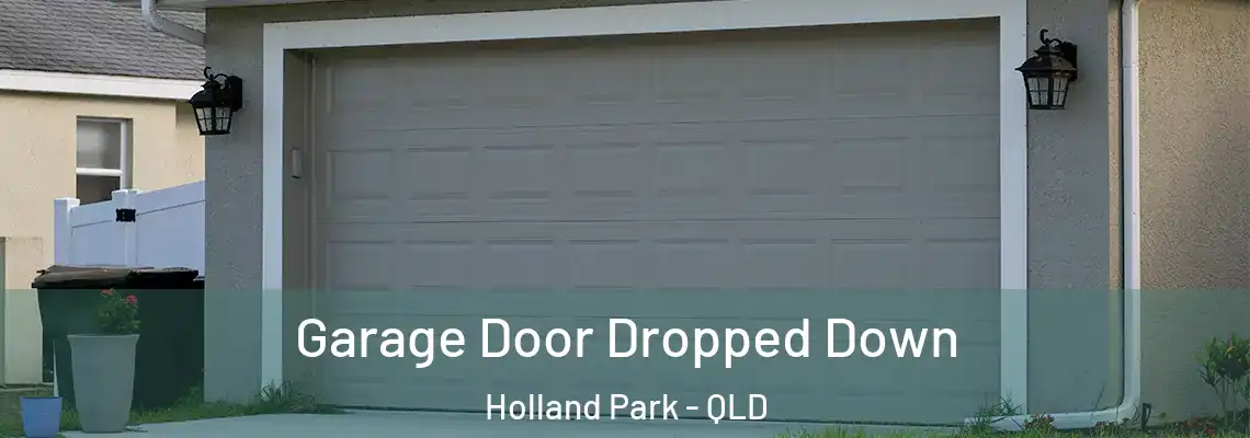 Garage Door Dropped Down Holland Park - QLD