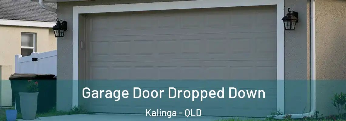 Garage Door Dropped Down Kalinga - QLD