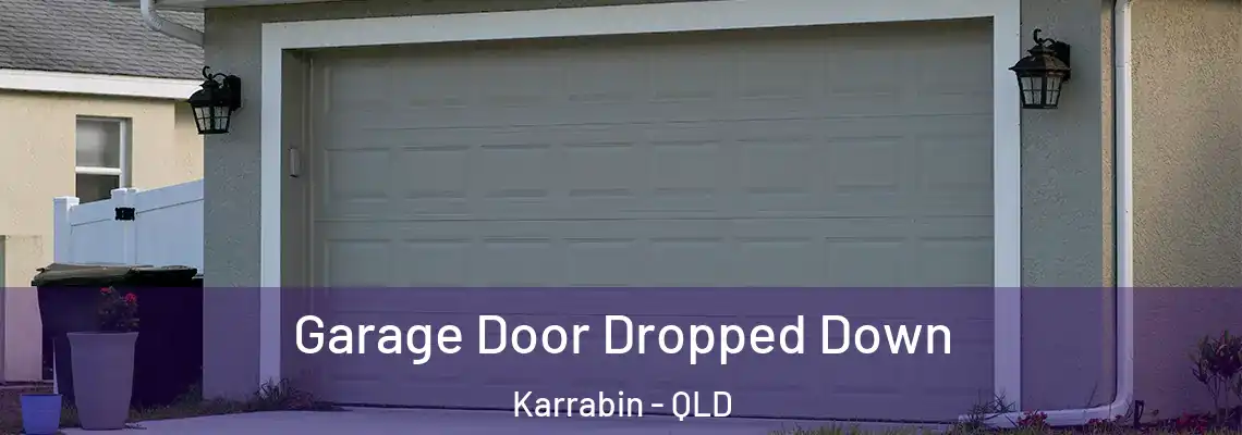  Garage Door Dropped Down Karrabin - QLD