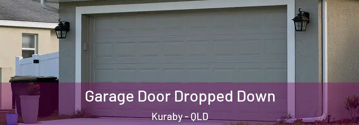 Garage Door Dropped Down Kuraby - QLD