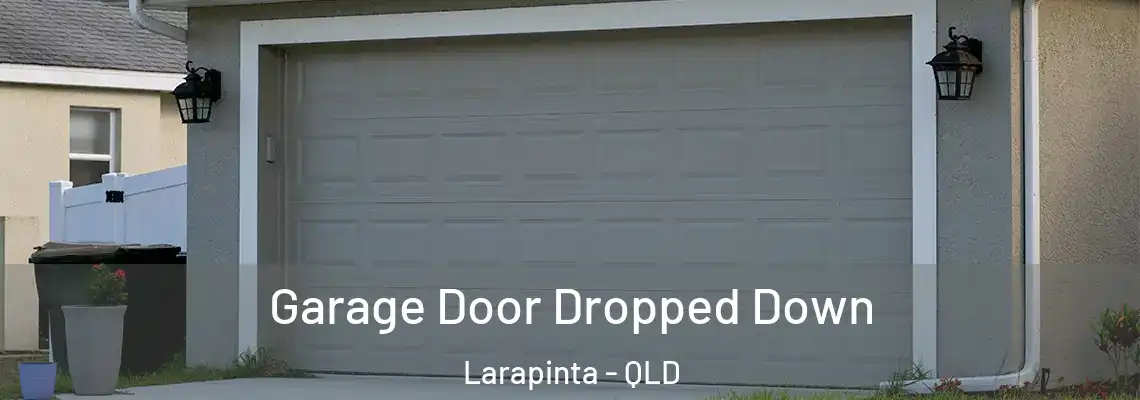 Garage Door Dropped Down Larapinta - QLD