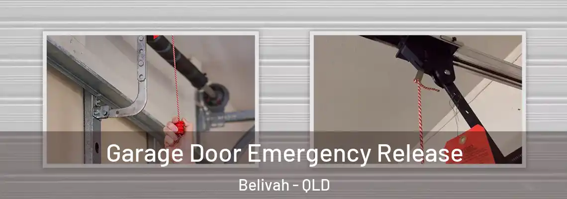 Garage Door Emergency Release Belivah - QLD
