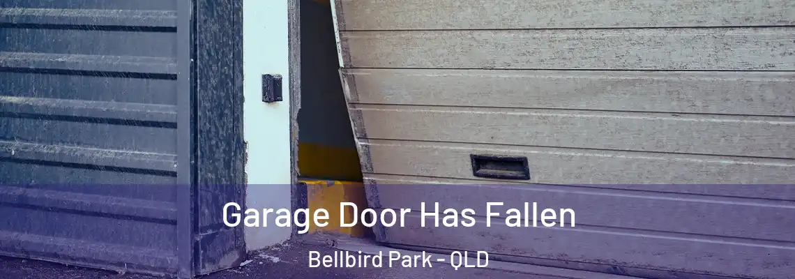  Garage Door Has Fallen Bellbird Park - QLD