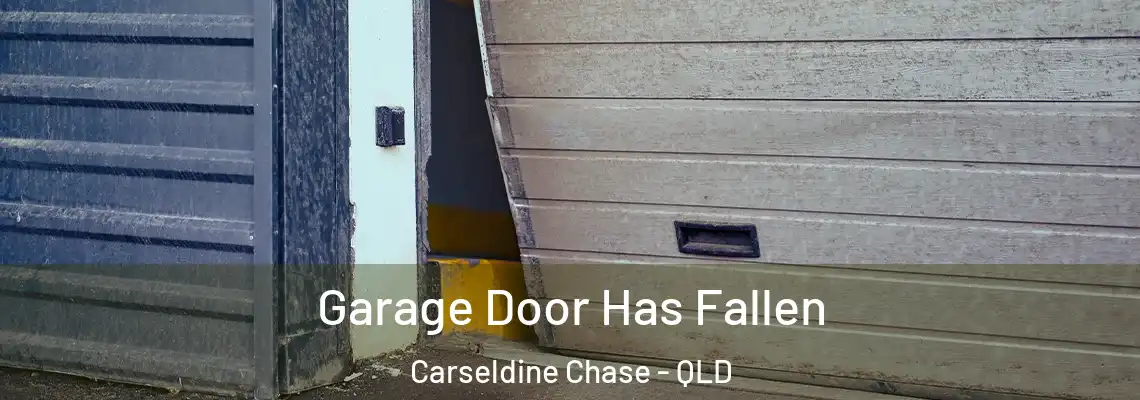  Garage Door Has Fallen Carseldine Chase - QLD