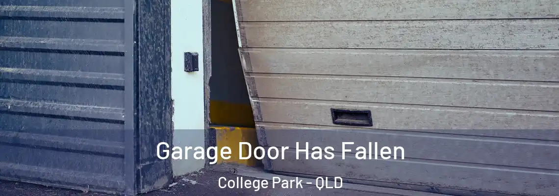  Garage Door Has Fallen College Park - QLD