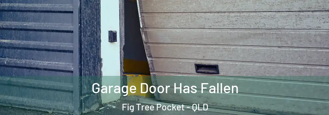  Garage Door Has Fallen Fig Tree Pocket - QLD