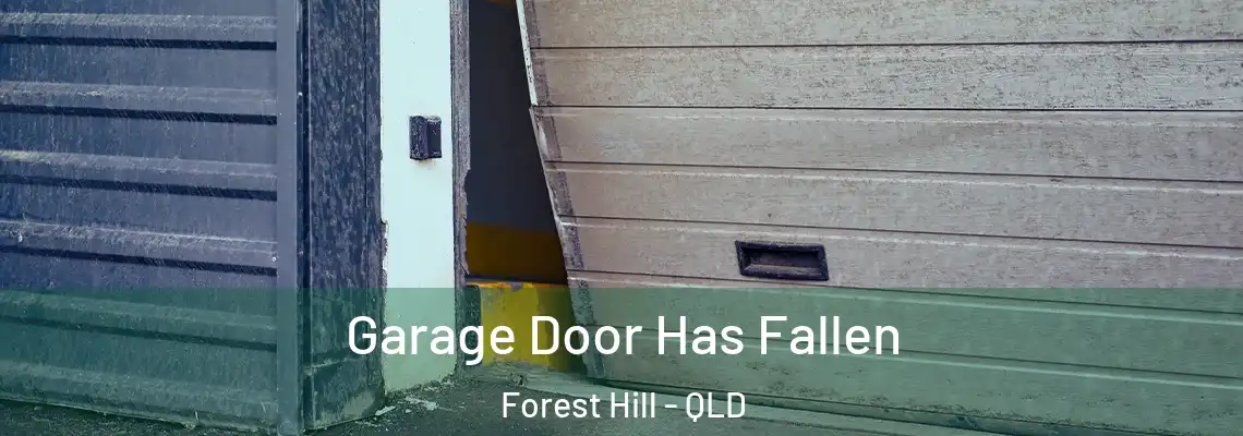  Garage Door Has Fallen Forest Hill - QLD