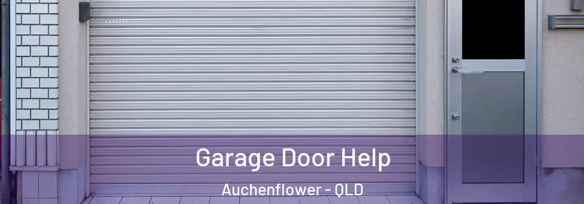Garage Door Help Auchenflower - QLD