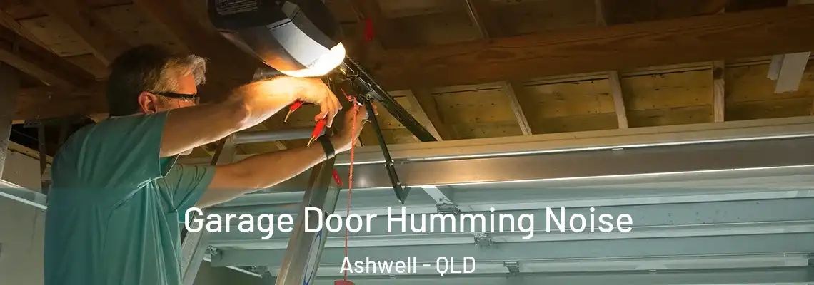 Garage Door Humming Noise Ashwell - QLD