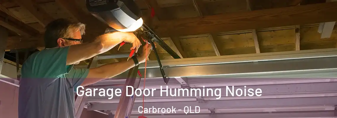  Garage Door Humming Noise Carbrook - QLD