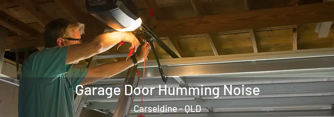  Garage Door Humming Noise Carseldine - QLD